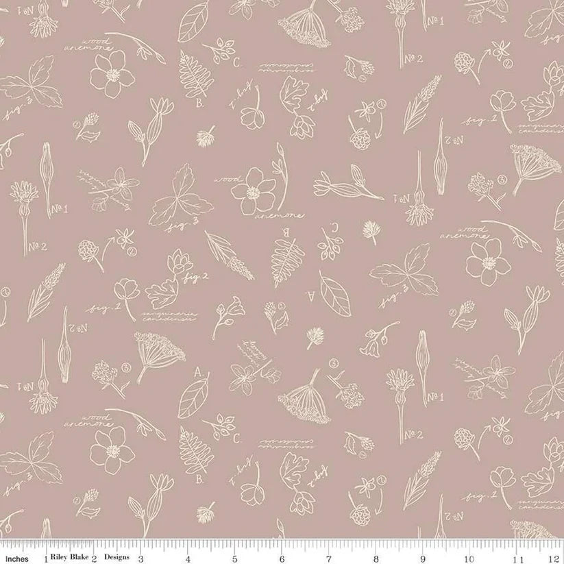Wildwood Wander Sketchbook Taupe C12432 by Riley Blake Designs