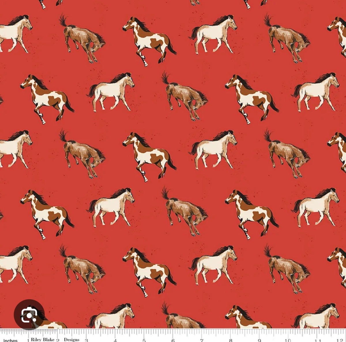 Riley Blake- WILD ROSE -Fabric-by-the-1/2 yard by Riley Blake C14042-RED Multiple units cut in one continuous piece.