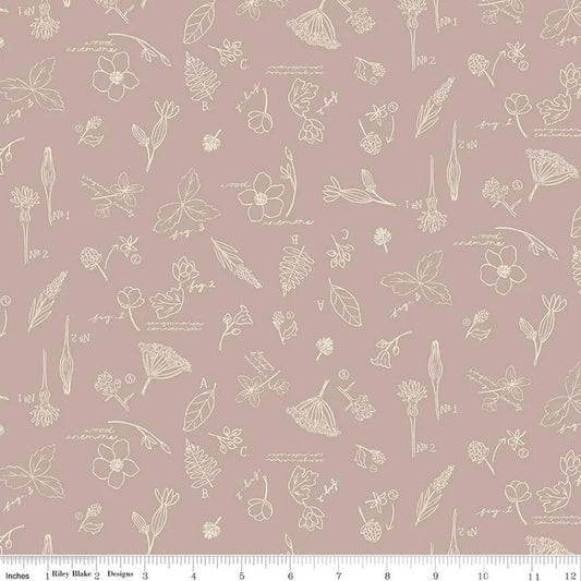 Wildwood Wander Sketchbook Taupe C12432 by Riley Blake Designs