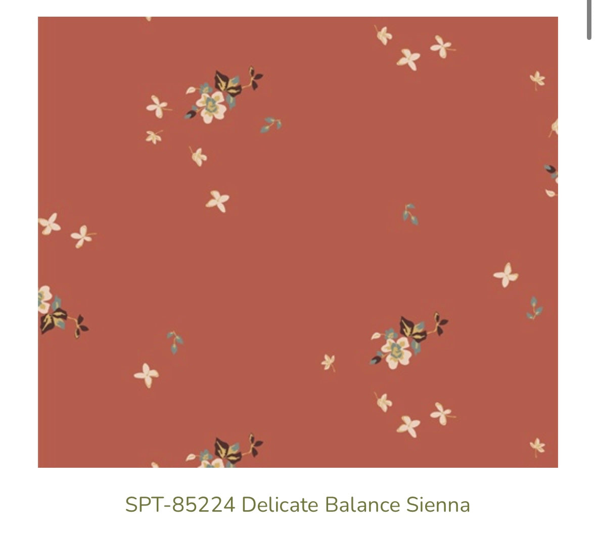 Delicate Balance Sienna – SPT-85224