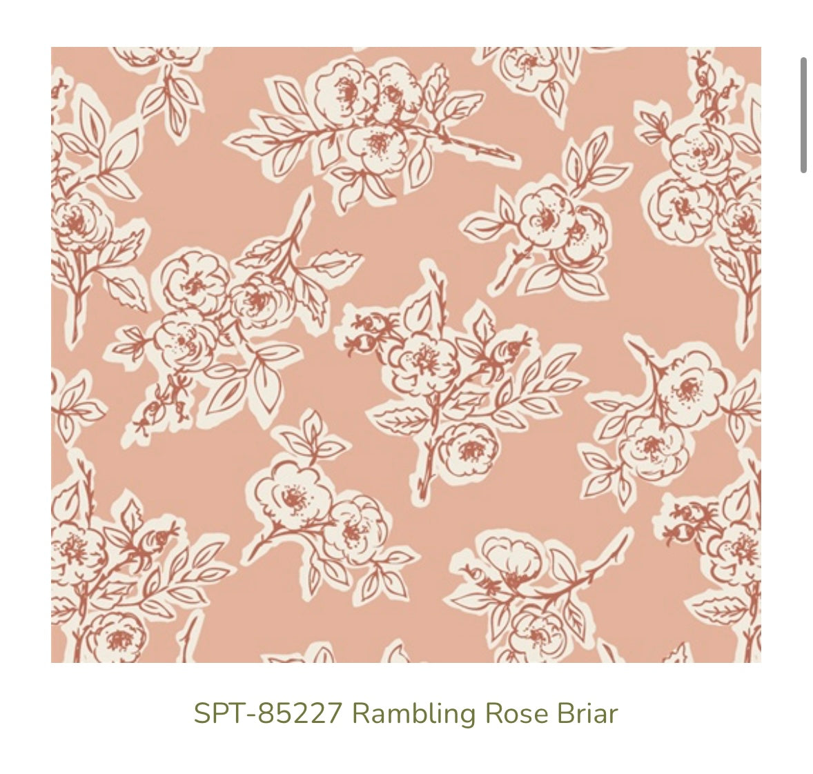 Rambling Rose Briar – SPT-85227