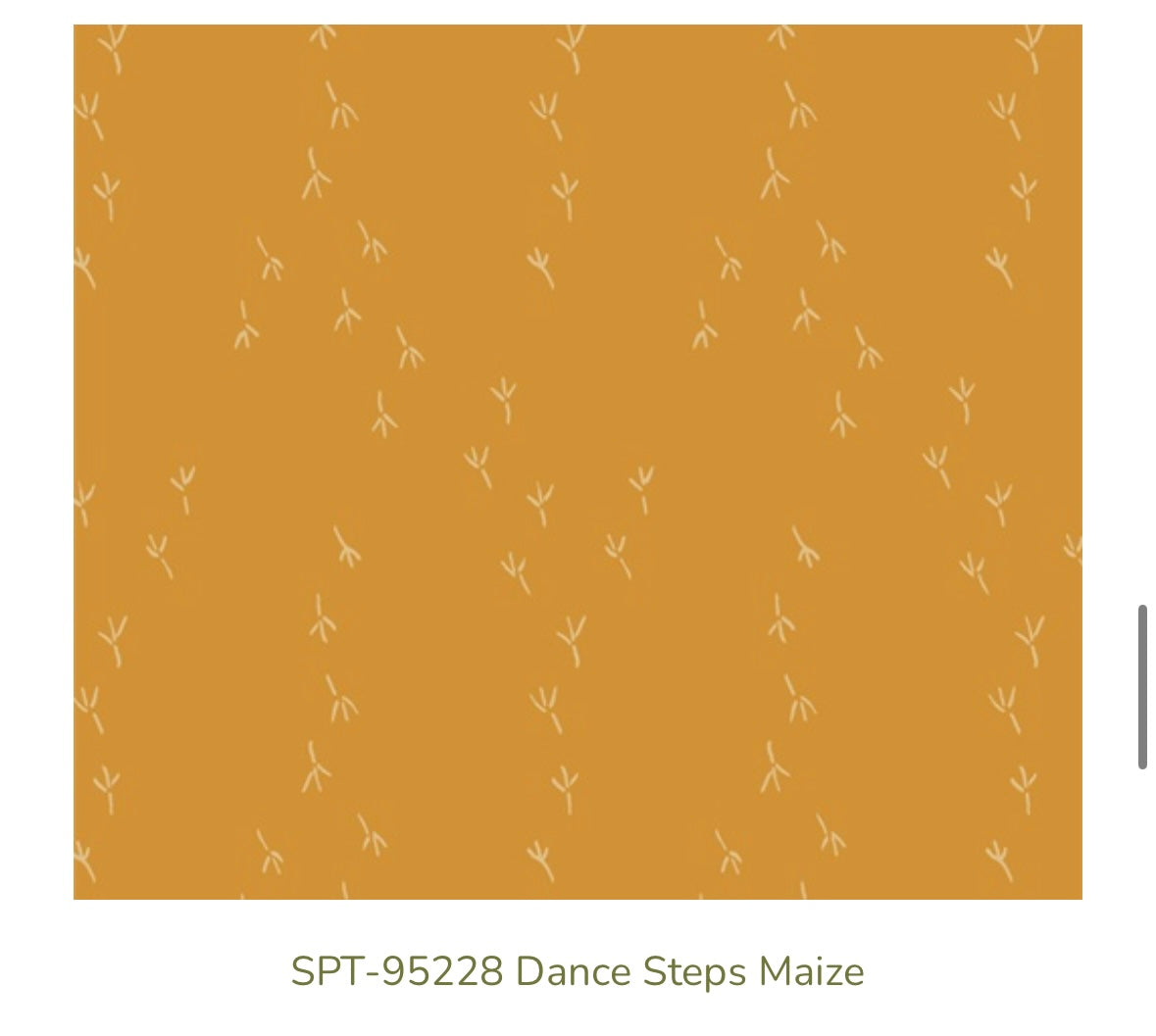 Art Gallery Fabrics – Dance Steps Maize (SPT-95228) – Mustard Blender Premium Cotton Fabric